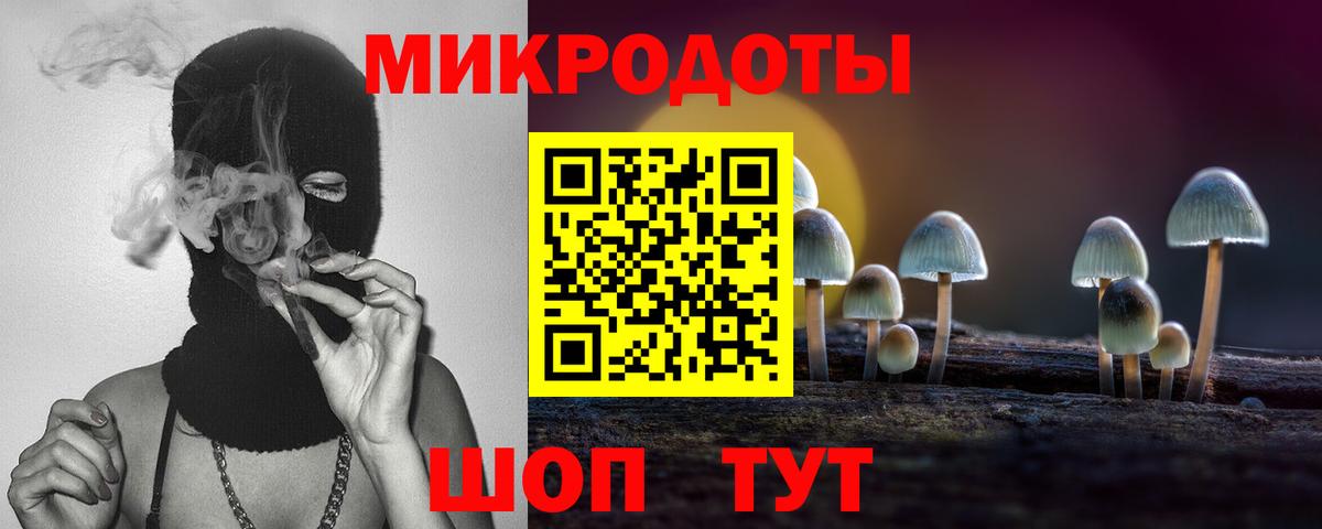 Галлюциногенные грибы Cubensis  Вход с VPN  Кизилюрт  Псилоцибиновые грибы мицелий 